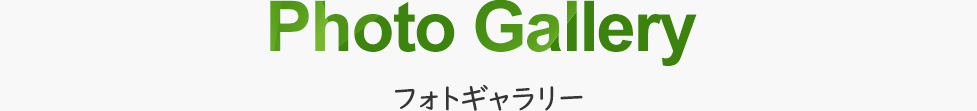 フォトギャラリー